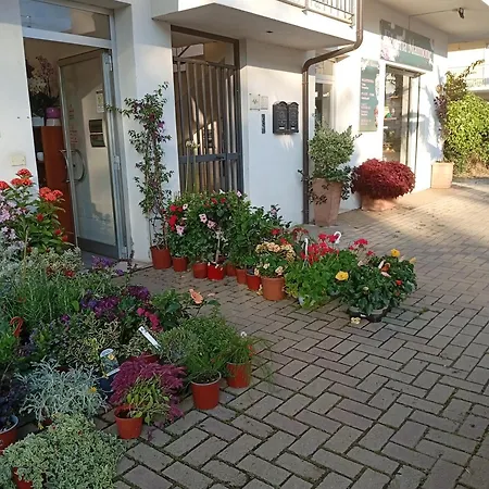 Vicino Al Mare Apartment Praia a Mare