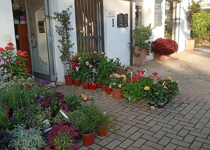 Vicino Al Mare برايا إيه ماري